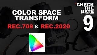 Check the Gate 9: Qué es el Color Space Transform y las diferencias entre Rec.709 y Rec.2020