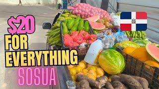 I Love Grocery Shopping From This Truck I Sosua #Sosuabeach #cerisefairfax #sosua