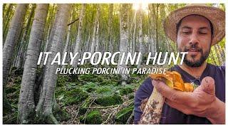 Italy Porcini Hunt: Plucking Porcini in Paradise (Borgotaro, Italy) Guide.