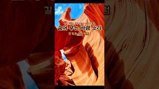 숨어 우는 바람 소리 박경덕 미스터트롯3 #황금추억 #금송카페