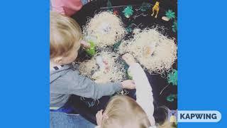 Dinosaur Eggs hatching in Wilmot Childcare