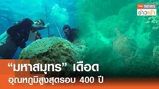 “มหาสมุทร” เดือด อุณหภูมิสูงสุดรอบ 400 ปี l TNN ข่าวเช้า l 08-08-2024