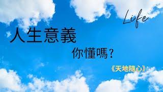 【人生意义】01： 人生的意义大揭秘：解码幸福、成功和自我实现的密码！