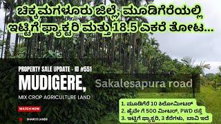 ID #551 - ಚಿಕ್ಕಮಗಳೂರು ಜಿಲ್ಲೆಯ ಮೂಡಿಗೆರೆಯಲ್ಲಿ 20 ಎಕರೆ ಜಾಗ ಮಾರಾಟಕ್ಕಿದೆ | Mudigere |Sakaleshpura