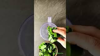 How to make Wild Garlic Chilli Sauce #chillisauce #wildgarlic #garlicsauce #foraging #forager