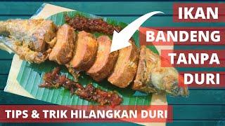 Gak Perlu Repot-repot Nyabutin Duri RESEP IKAN  BANDENG TANPA DURI