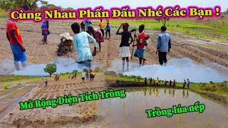 Quang Dũng || Thử Nghiệm Trồng Cây Lúa Nếp Việt Nam Trên Mảnh Đất Khô Cằn Châu Phi Liệu Có Khả Thi ?