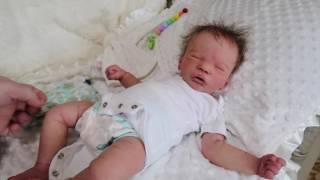 Changing Newborn Silicone Baby Girl Doll - Real Life Like Toy Doll - nlovewithreborns2011