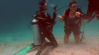 Divemaster Stress Test Scuba Junkie Komodo