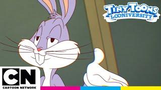 Das Beste der Lehrer! | TINY TOONS LOONIVERSITY | Cartoon Network