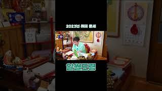 2023년 대박나는 쥐띠운세 나이대별 핵심정리! #shorts