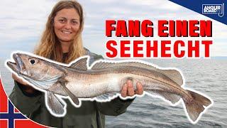 Seehecht angeln vor Frøya | Montage, Tipps & Tricks für Norwegen | Anglerboard TV