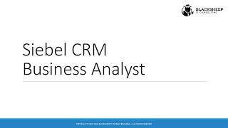 Siebel CRM Business Analyst Course Introduction - The Siebel Hub Learning Experience