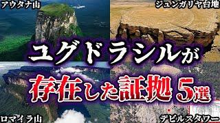 【ゆっくり解説】古代に巨大樹ユグドラシルが存在した証拠５選