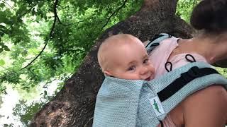 Buzzidil Babycarrier - Front & Back Carry | Bauchtrage & Rückentrage