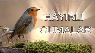 Hayırlı Cumalar Mesajı 2024 En Güzel Cuma Videoları - Kısa Cuma Videoları  -Cumamız Hayırlı Olsun