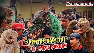 Pentas terbaru kuda lumping mega pakuan di RancamanukUrang Sunda Channel