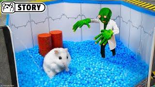 Hamster Survival in the Zombie Apocalypse - Infected Laboratory  Homura Ham