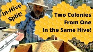 How to Split a Honeybee Colony in a Layens Horizontal Hive #honeybee #beekeeping #horizontalhive