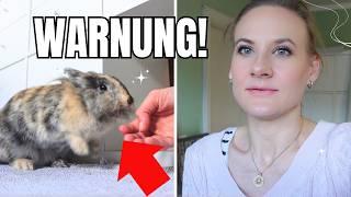 Kaninchen Maggie greift mich an! VLOG