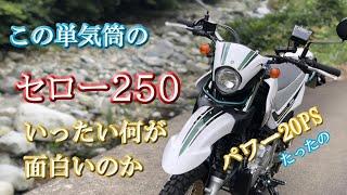 生産終了【セロー250】はなぜ人気なのか