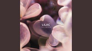 Lilac -Full Bloom-