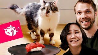 We Tried To Make Sushi For Our Cats • Eating Your Feed • Tasty