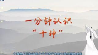 八字教学入门案例命盘怎么看，四柱八字预测，什么是十神？一分钟教会大家认识十神#易经#十神