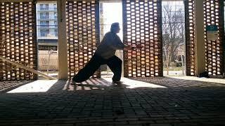 Wu style taijiquan pt.3