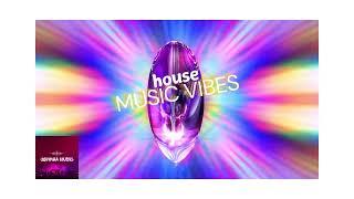 House Music Vibes Vol #1 #housemusic #2024 #djset