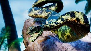 A Grande Serpente, Palaeophis. Devorando Pequenos e Crescendo (#1) | Beasts of Bermuda | (PT/BR)