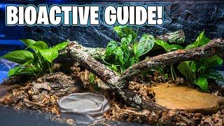 How to Make a Bioactive Enclosure! Beginner Guide!