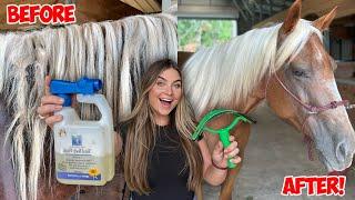 GIVING MY NEW HORSE A MAKEOVER  *SATISFYING*