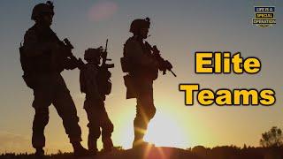 Why the Elite Always Work in Teams?