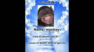 RIP MONKEY 