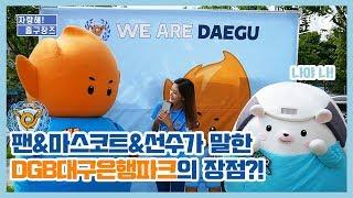 [대팍] 팬&마스코트&선수가 말하는 대팍의 장점 ｜DGB대구은행파크 개장 10개월️