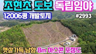 (양평임야 밤나무농장 개발토지매매) 조현초도보 조현리 남향 햇살좋은 계획관리 12,006평 도로(1,141평)지분 포함 & 용문숲2993 양평부동산매매, 양평땅매매, 조현리임야