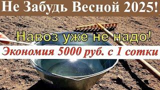 ПОРА! 1 Ложку на ведро воды  Весной земля как новая Удобрение почвы в огороде.