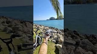 DJI Air 3 hand launch #dji #djiair3 #drone #djirc2