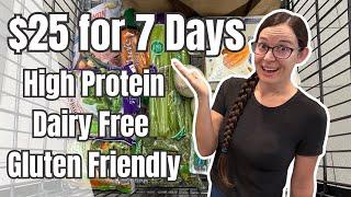 $25 for 7 Days | High Protein, Dairy Free, Low Sugar, and Naturally GF | Single Person Meal Plan