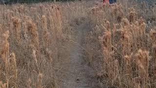 vista oaks trails in Round Rock Dec 25 2020