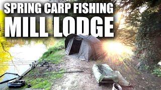 Ep28 - Springtime Carp Fishing At Mill Lodge! - NICAS Syndicate, April 2024