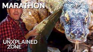 TOP 3 HORRIFYING ANIMALS UNLEASHED (Ft. a SWAMP SHARK) *Marathon* | Swamp Mysteries with Troy Landry