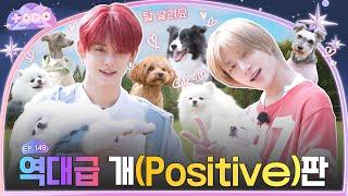 [TO DO X TXT] EP.149 Teacher & DOG, Part 1
