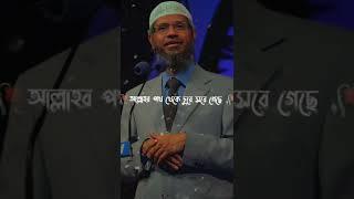 Dr. Zakir Naik | Bangla Waz | আল্লাহ তা'য়ালার পরিক্ষা এবং শাস্তি | BTV Bangla Waz | Zakir Naik