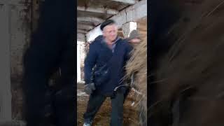 #запас сено#гуляй смело#
