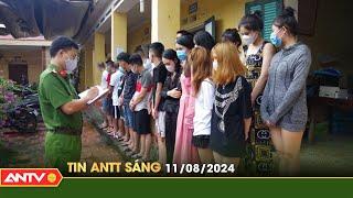 Tin tức an ninh trật tự nóng, thời sự Việt Nam mới nhất 24h sáng ngày 11/8 | ANTV