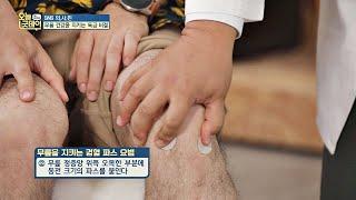 ′동전 파스′로 무릎 건강 지키는 ′경혈′ 파스 요법 오늘， 굿데이(goodday) 137회