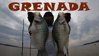 THE King Of All Crappie Lakes "Grenada MISSISSIPPI"