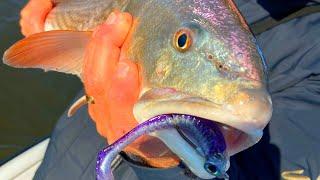 margarita (less) SLAM - Low Country Redfish & Stripers